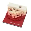 Fabricante Personaliza Blocs de Notas Estéreo 3D, Modelos de Escultura en Papel, Regalos Culturales Creativos y Creativos, Adornos de Escritorio, Regalos Navideños Según los Dibujos