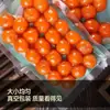 Yema de huevo de pato salada con aceite fluido, productos de yema de huevo de pato horneada, para envolver zongzi, pasteles de luna, crujiente de yema de huevo, materia prima especial, venta al por mayor comercial