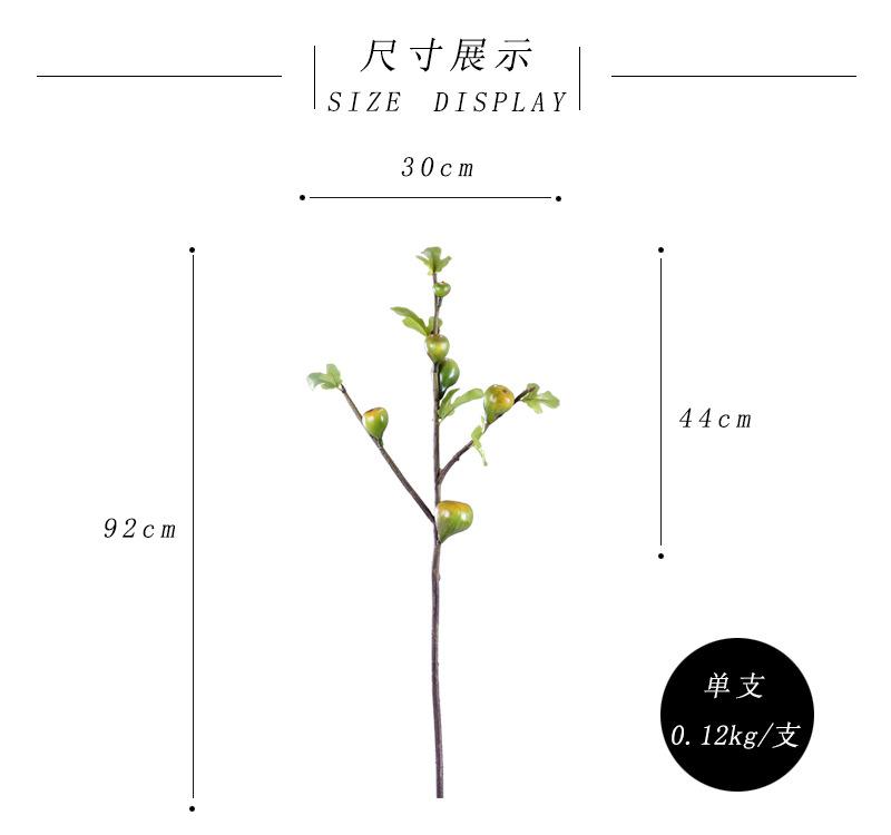尺寸展示-绿色.jpg