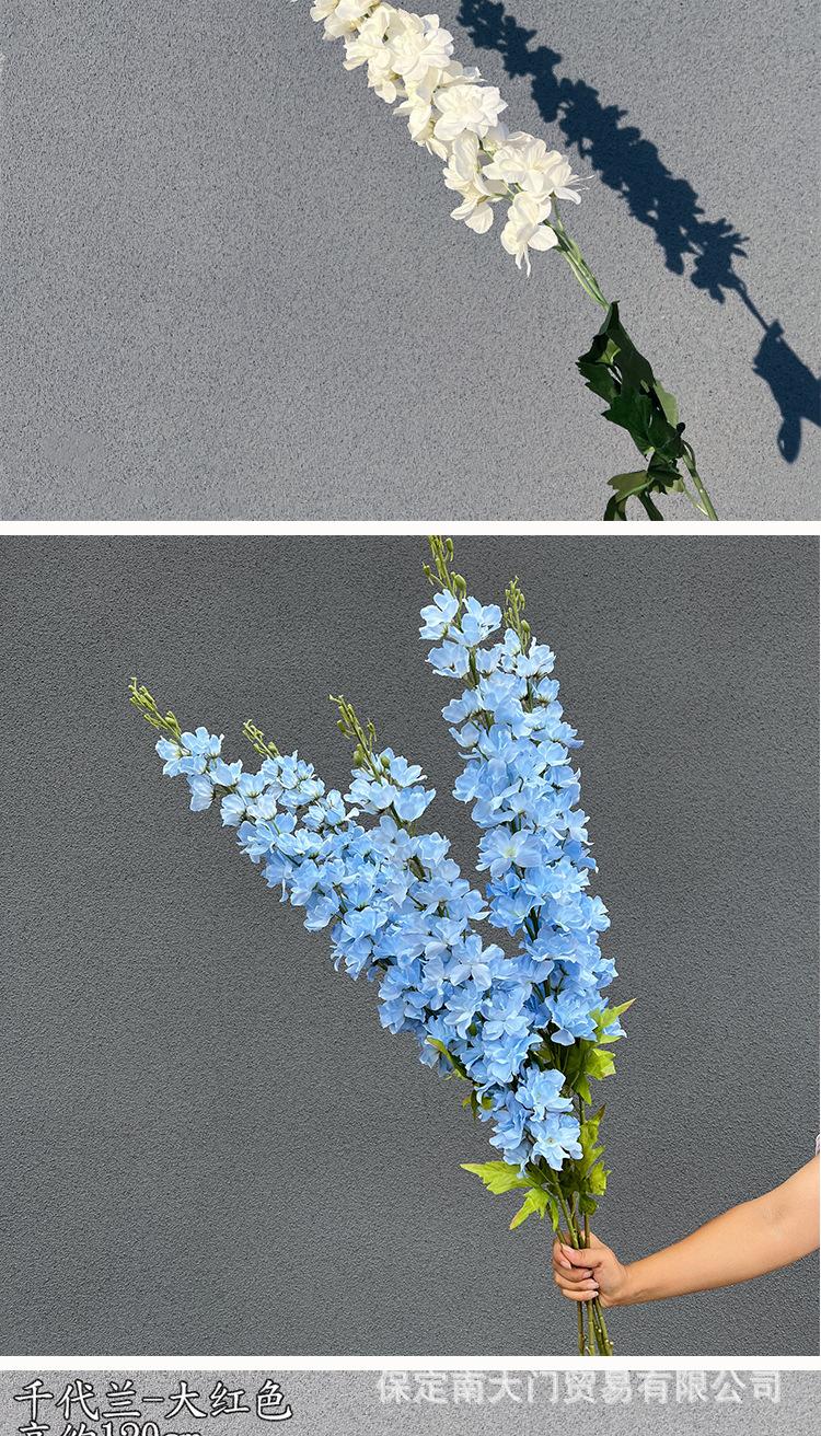 千代兰详情模板_07.jpg