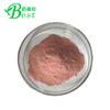 Polvo de jugo de granada polvo de granada polvo concentrado para sustituto de comida de frutas y verduras los fabricantes venden gran cantidad Congyou en stock envío gratis