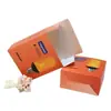 Caixa de Embalagem para Lâmpada Caixa de Papelão Branco Personalizada Atacado Impressão Colorida Caixa Dupla com Encaixe Caixa Dobrável Personalizada Fábrica de Foshan