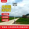 Luminaria Solar Personalizada de 6m 8m de una Sola Cabeza Doble Cabeza para Estadio Luz Cuadrada Luz para Cancha de Baloncesto LED 200W