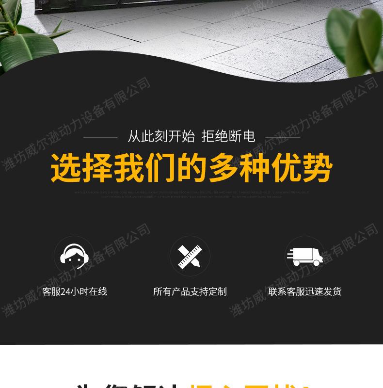 上海800千瓦发电机组_02.jpg
