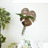 Suporte de Flores Hidropônicas de Madeira Criativo Popular em Forma de U para Tubo de Ensaio Transfronteiriço Suporte de Flores para Pendurar na Parede da Sala de Estar Decoração de Parede para Casa