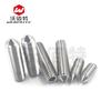 Tornillo de apriete con cabeza hexagonal de acero inoxidable Wobaite 304, tornillo de cola puntiaguda, tornillo de arroz sin cabeza M4