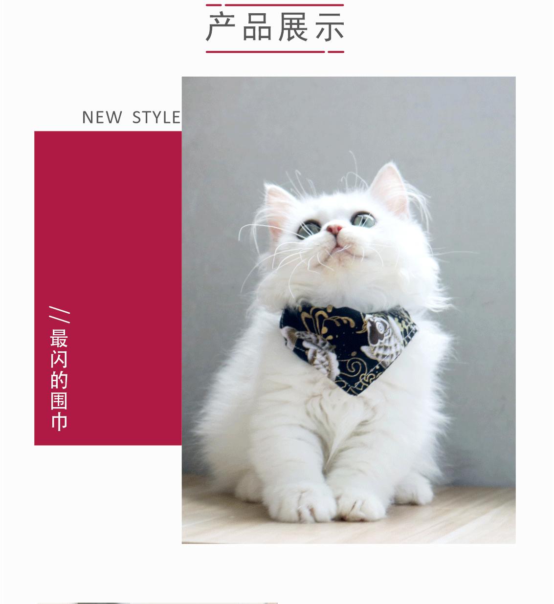 猫咪三角巾详情页_06