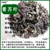Hojas de Perilla, Medicina China, Hojas de Perilla Frescas Comestibles Secas, Hojas de Perilla Secas, Materiales Medicinales Chinos para Remojo de Pies, Materiales Medicinales Chinos, Hojas de Perilla