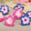Arcilla Suave de 15 mm Frangipani Pequeño Fabricante Mayorista Pulsera de Cuentas DIY Collar Accesorios de Joyería Hawaiana Frangipani