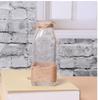Decoração de Vaso de Vidro Transparente com Corda de Cânhamo Retrô Dispositivo de Flor Hidropônica Mesa Falsa de Flores Arranjo de Flores Secas Pequeno