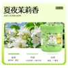 [Selección Premium] Fragancia para el Hogar Bálsamo Sólido para Interiores Ambientador Perfume para Coche Aroma Artículo Decorativo de Gama Alta