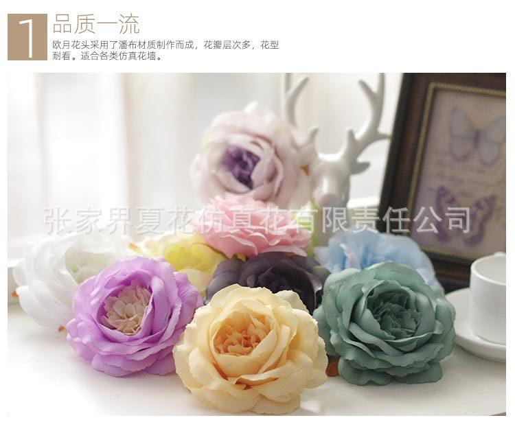 欧月花头_17.jpg
