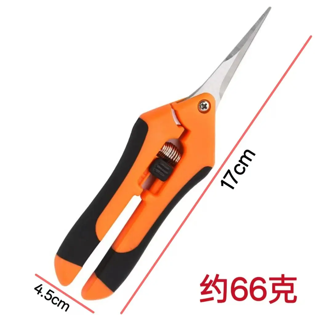 摘果66
