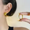 Brincos de Argola de Metal para Mulheres, Novo Estilo Popular, High-End, Luxo Leve, Design de Nicho, Brincos Versáteis e Únicos