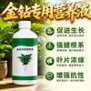 Solução Nutritiva de Diamante Dourado Fertilizante Especial Diamante Vermelho Princesa Verde Cultura de Solo Plantas Hidropônicas Plantas Verdes em Vasos Internos Fertilizante Líquido Orgânico
