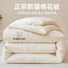 Colcha de Algodão 100% Algodão Xinjiang Colcha de Algodão Manta Colcha de Inverno Núcleo de Colcha Colcha de Algodão Espessa e Quente Colcha para Todas as Estações