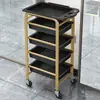 Carro de Peluquería para Permanente y Tintes Gabinete de Almacenamiento Carrito para Varillas de Peluquería Estante de Almacenamiento para Peluqueros Gabinete de Herramientas Barbería Peluquería