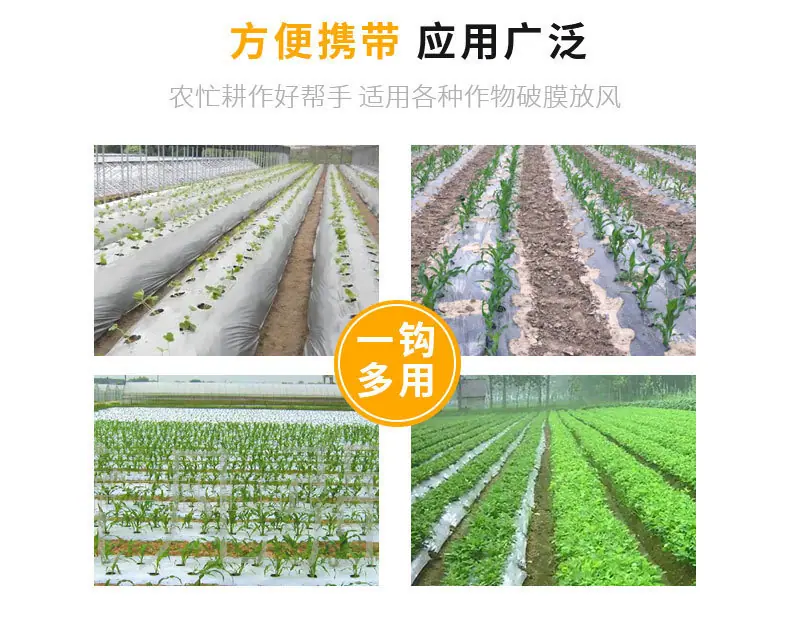 详情_03.jpg