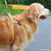 Guia de Cachorro 3m 5m Corda para Cachorro Cabeça Dupla Estendida Corrente para Cachorro Cachorros Pequenos Médios Grandes Corda para Passeio de Cachorro Aço Espessado
