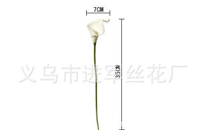 小马蹄尺寸