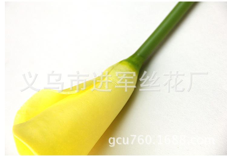 xiao 4