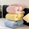 Roupa de Cama Aconchegante para Bebê e Mãe, Fleece Leite Aconchegante, Cor Sólida Espessa, Saia de Cama Acolchoada, Saia de Cama de Solteiro, Peça Única, Cobertura de Cama de Inverno, Amiga da Pele