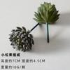 Suculentas Simuladas, Decoraciones de Plantas Verdes, Combinación de Mini Adornos de Cactus, Plantas Suculentas en Maceta, Bonsái al Por Mayor