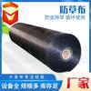 Fabricante de tela antihierba para huertos agrícolas de Xinjiang, tela de PE negra para cubrir hierba, tela antihierba y tela para deshierbe.