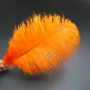 30-35cm Plumas de Avestruz Lámpara de Plumas Arreglo Floral de Plumas de Avestruz Plumas de Boda