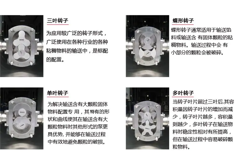百力仕转子泵新 (4)
