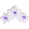 Clássico do TikTok Cor Gradiente Jelly Três Flores Presilha de Cabelo Flor Plumeria Estilo Férias na Praia Presilha de Garra Flor Única