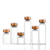 En Stock Jeringa Marrón de 2 ml a 30 ml, Frasco Transparente, Botella para Sub-embotellar Polvo Liofilizado, Botella Jeringa Marrón de Cierre a Presión