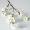 Galhos Artificiais de Flor de Pessegueiro, Galhos Artificiais de Flor de Ameixeira, Flores Decorativas Curtas de Seda, Flores Artificiais para Casamento, Flores de Plástico, Atacado do Fabricante