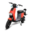 Comercio exterior vehículos eléctricos de dos ruedas fabricantes de origen suministro bicicletas eléctricas venta directa transfronteriza coches portátiles de doble batería