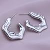 Pendientes Irregulares de Acero Inoxidable 304 Anillo Facial Fotosensible de Alta Calidad Pendientes para Mujer de Venta Caliente Europea y Americana Estilo Retro de Lujo Ligero en stock