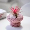 Plantas de Oficina Hidropónicas de Alta Calidad Plantas en Maceta Piña Negra Plantas Verdes de Escritorio Suculentas Adornos para Estación de Trabajo
