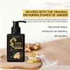 Tk Popular Transfronterizo Champú de Jengibre Herbal Suave Hidratante y Suavizante Control de Grasa Antifrizz Champú Limpiador para el Cabello