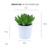 Set de Bonsái de Suculentas de Plástico Mini en Stock, Suculenta Artificial Creativa de Amazon, Flor Artificial Transfronteriza Planta en Maceta Pequeña