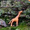 Paisaje en miniatura bonsái material DIY maceta de jardinería suculenta adornos pequeños animales pequeños creativos decoraciones de plantas en maceta