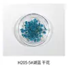 Estilo Ins japonés flor seca para uñas joyería pétalos pequeños Cielo Estrellado 12 rejillas colorida encaje flor decoración de uñas flor
