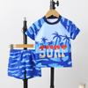 Roupa de Banho Infantil Masculina Dividida 2025 Nova Estampa de Coqueiro Manga Curta Shorts Secagem Rápida Roupa de Banho Masculina