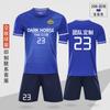 Conjunto de Uniforme de Fútbol Infantil con Camisetas de Competición y Entrenamiento Estampadas de Manga Corta, Logo Estampado, Uniforme de Equipo Estudiantil con Números, Ropa de Fútbol para Niños