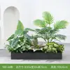 [Serie Y80] Decoración de Partición de Planta Verde Simulada Macetero Maceta Valla Paisajística de Plástico Biónico Diseño