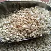 Semillas de Coix Arena Dorada de Xianyou, Fujian, Origen Original, Nueva Cosecha, Semillas de Coix Pequeñas, Tamaño de Grano Pequeño