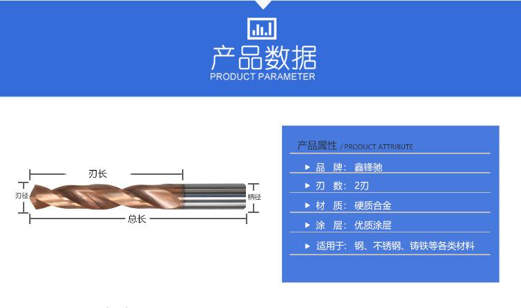 5倍径_04.jpg