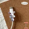 Protector de cable de datos acrílico 2D, previene la rotura, presenta diseños de animales de dibujos animados, cable de datos para teléfono Tipo-C, para ventas transfronterizas