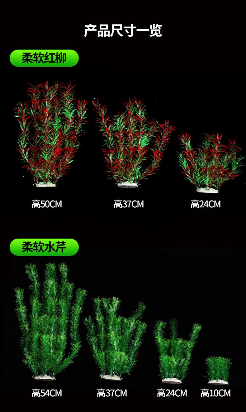 水草1_05.jpg