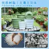 Nuevo macetero de control de raíces Qingshan de tercera generación, transpirable, engrosado, maceta de plástico duradera, maceta extra grande de resina para el hogar al por mayor