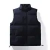Novo colete masculino de outono e inverno com forro de fleece, quente e à prova de vento, jaqueta casual de algodão com gola alta, peça externa colete masculino plus size