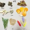 Fruta Fixa Natural Planta Fruta Casca Espécime Material Decoração Flores Secas Fatias Jardim de Infância DIY Pacote de Material de Natal